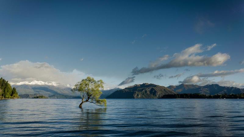 Nail care and cosmetic beauty devices