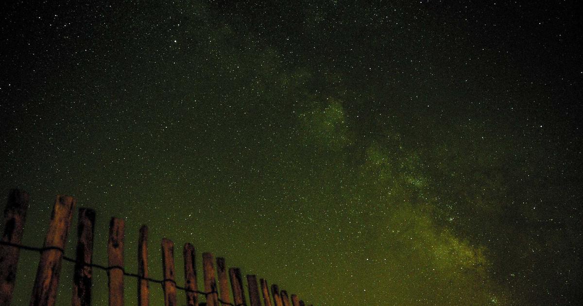 Pet technology products collection