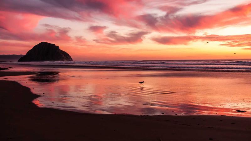 Smart home technology trends