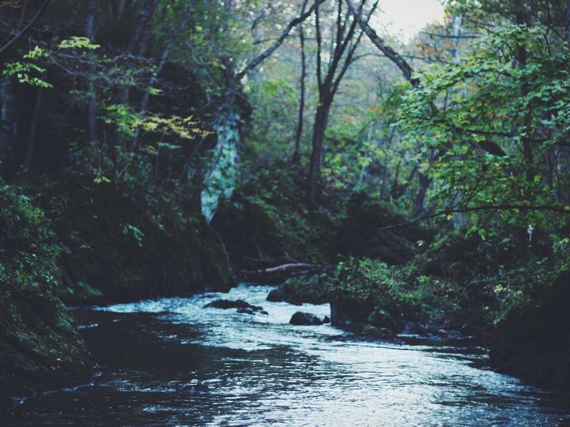 Smart Home Device Collection