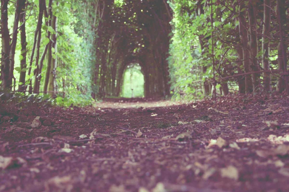 Why Your International Customer Trust Strategy Is Failing (And How to Fix It)
