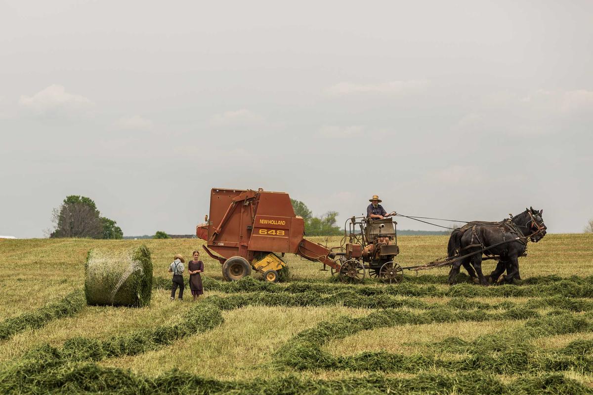 Data-Driven Product Selection: The Modern Playbook for Cross-Border Small Commodity Traders