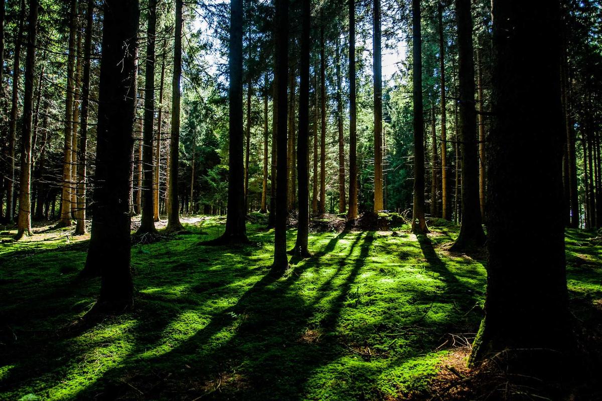 Factory Direct vs Wholesale Middlemen: Which Sourcing Route Delivers Better Margins?
