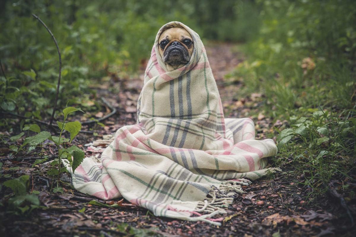 Global Sourcing Decoded: A Strategic Framework for International Dropshipping Excellence