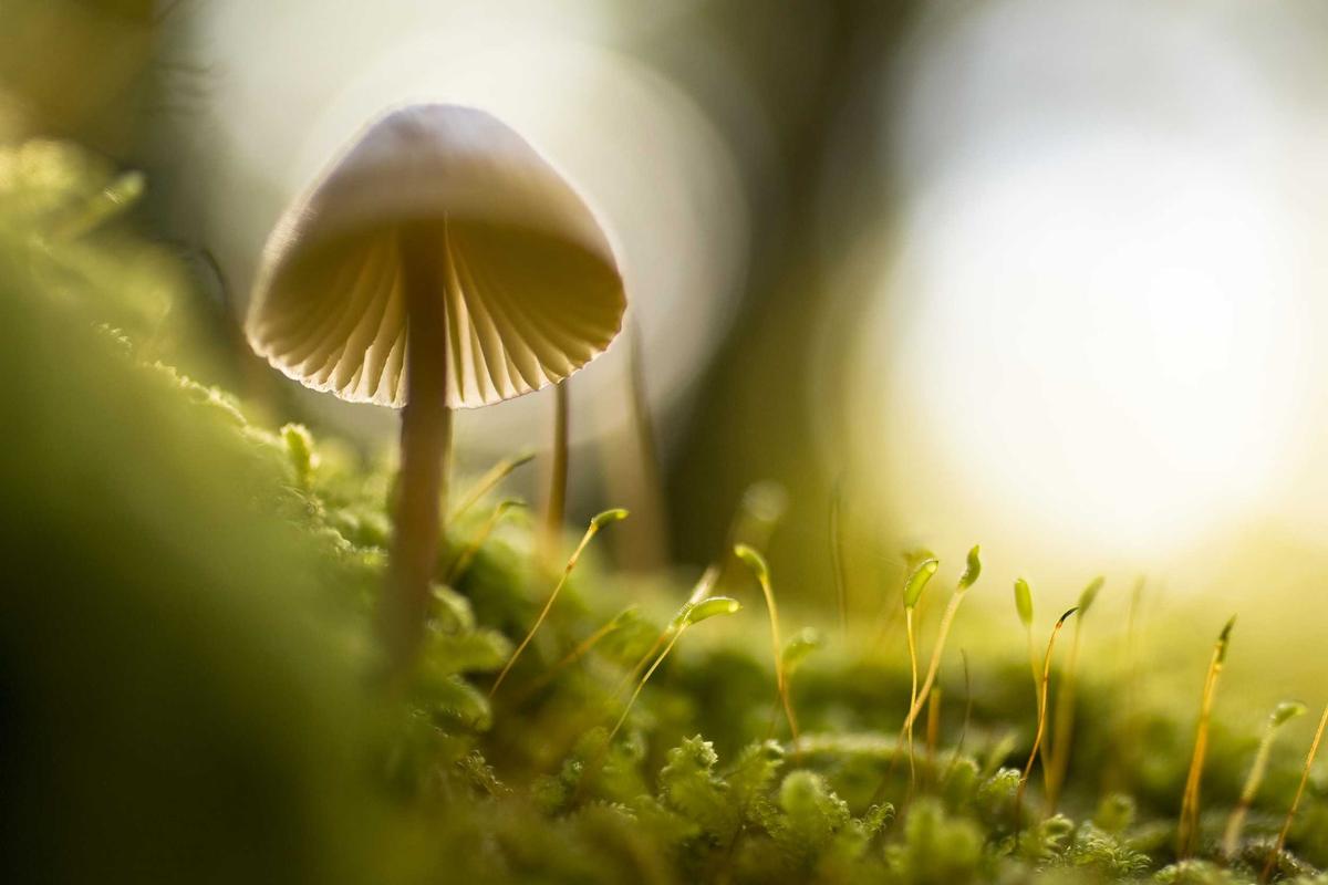 Make Money Online Through Small Commodity Trade: The Ultimate Blueprint for Building a Profitable Cross-Border Business