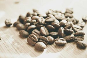 One-Product Store vs Multi-Product Store: Which Ecommerce Business Model Wins for Small Importers?