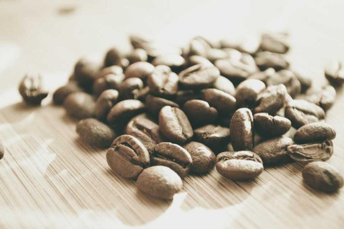 One-Product Store vs Multi-Product Store: Which Ecommerce Business Model Wins for Small Importers?