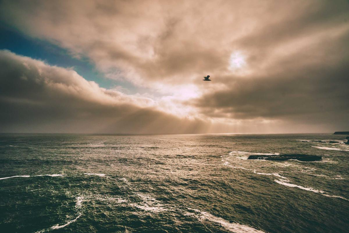 The Product Sourcing Playbook: How to Find Undervalued Commodities for Your Ecommerce Empire