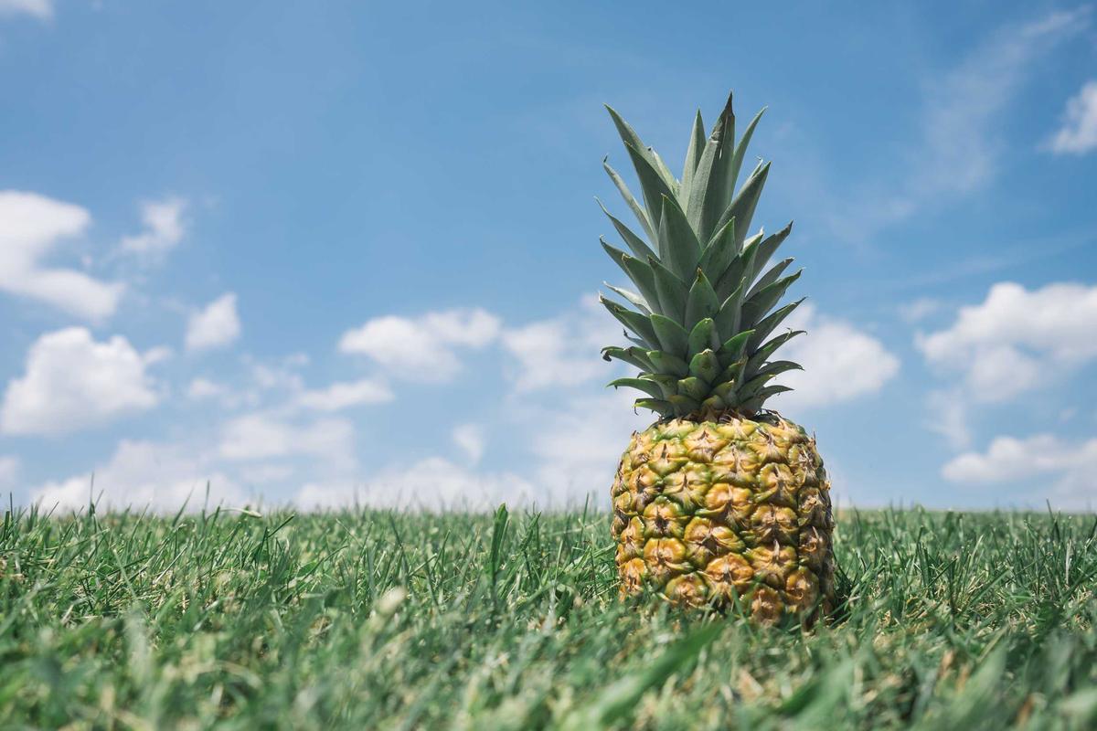 Stop Product Selection Guesswork: 3 Small Items That Actually Sell Online for Profit