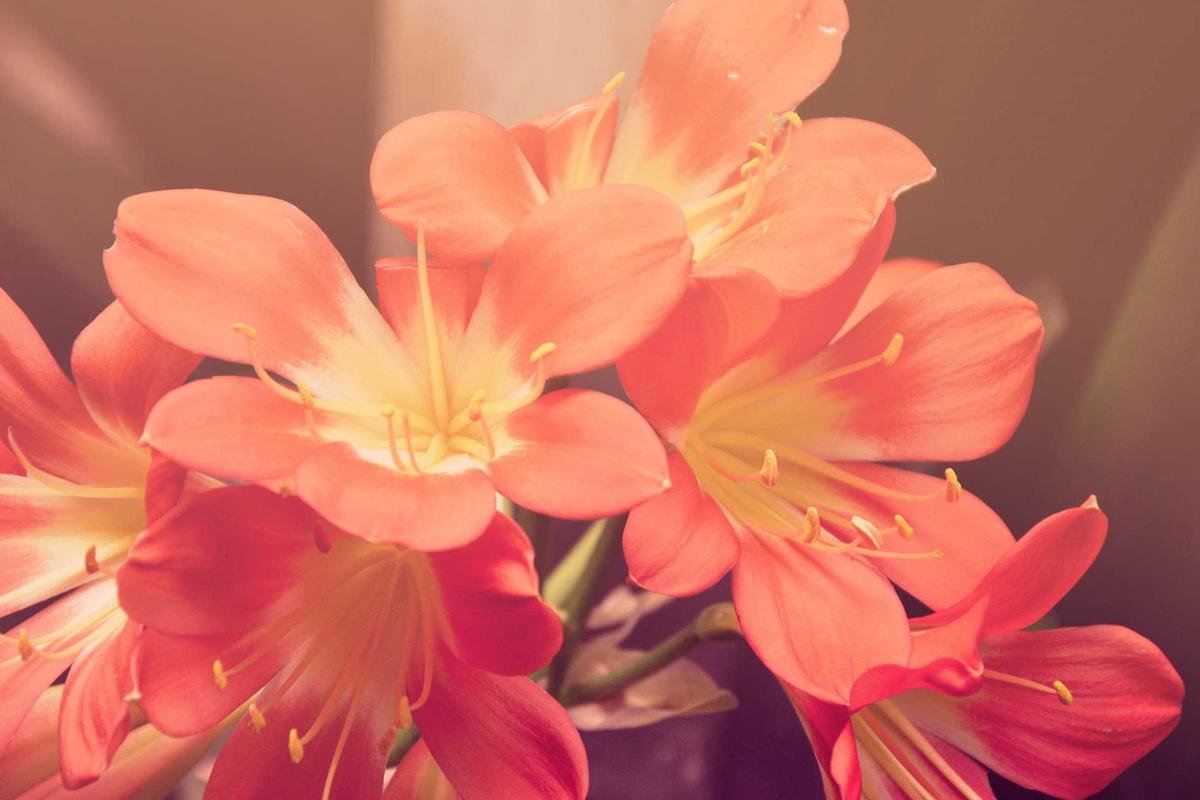 Why Your Social Proof Strategy Isn’t Converting International Buyers (And How to Fix It)