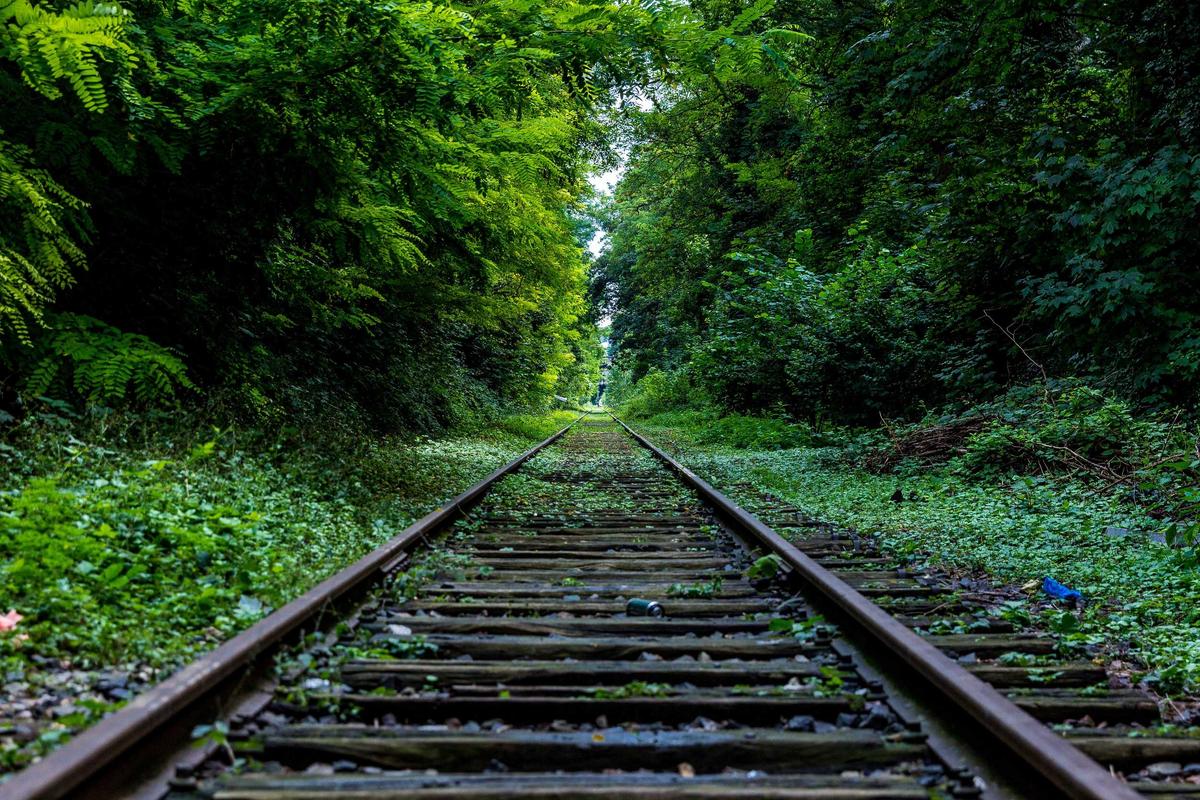 How to Optimize Your Ecommerce Store for Higher Conversions in 7 Steps