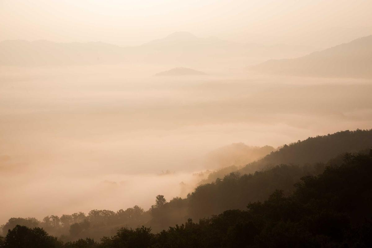 How to Market Your Sustainable Sourcing Practices to Win More International Customers