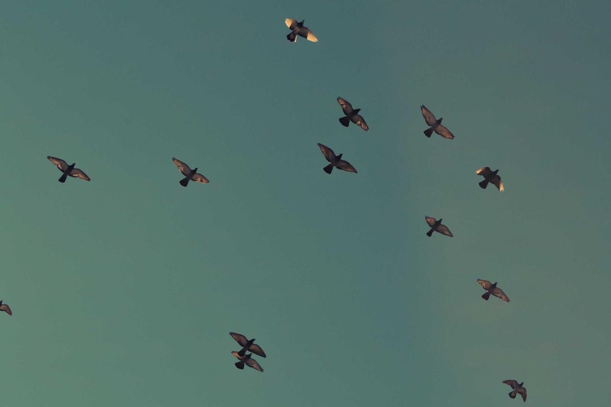 5 Inventory-Light Side Hustles That Unlock $6,000/Year From Your Supplier Network — No Warehouse Needed