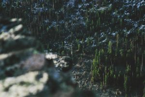 How to Find Suppliers That Save You 5,000/Year Instead of Costing You — A 7-Step Money-First Framework