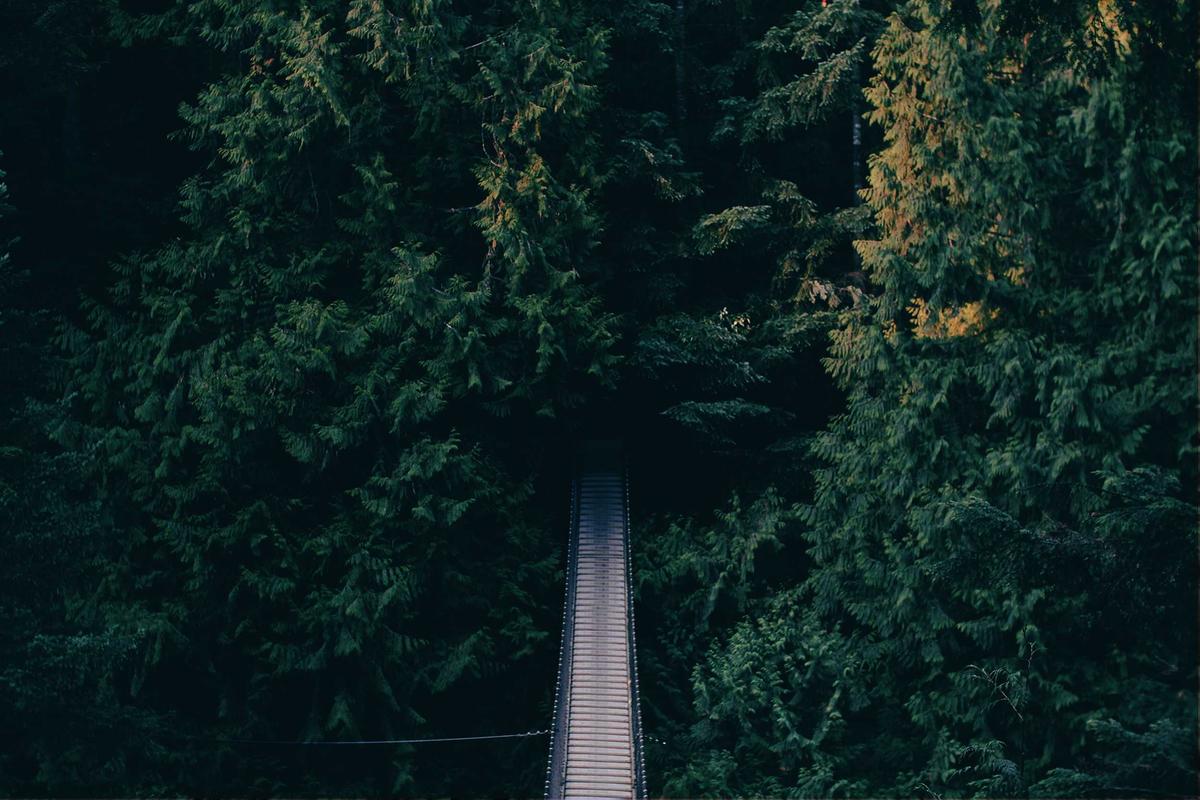 7 Hidden Supplier Fees That Eat 11% of Your Profit Margin — and the 30-Day Fix That Saves $4,800 a Year