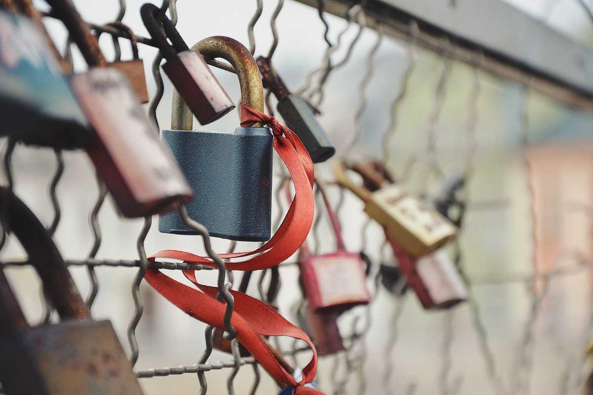 7 Supplier Questions That Do Your Market Research for Free: The Data Audit That Saves Side-Hustlers $2,800 a Year